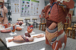 Laboratório de Anatomia