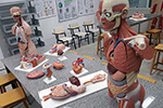 Laboratório de Anatomia